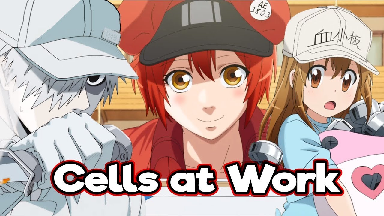 Comentario de TV: “Cells at work” anime educativo