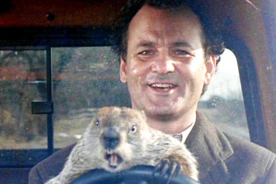 Se viene una serie de TV basada en “El día de la marmota”
